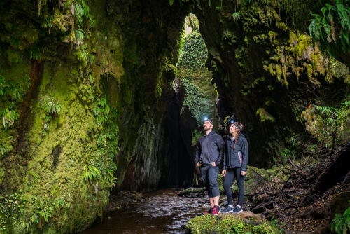 LIMESTONE CREEK RESERVE GLOW WORMS